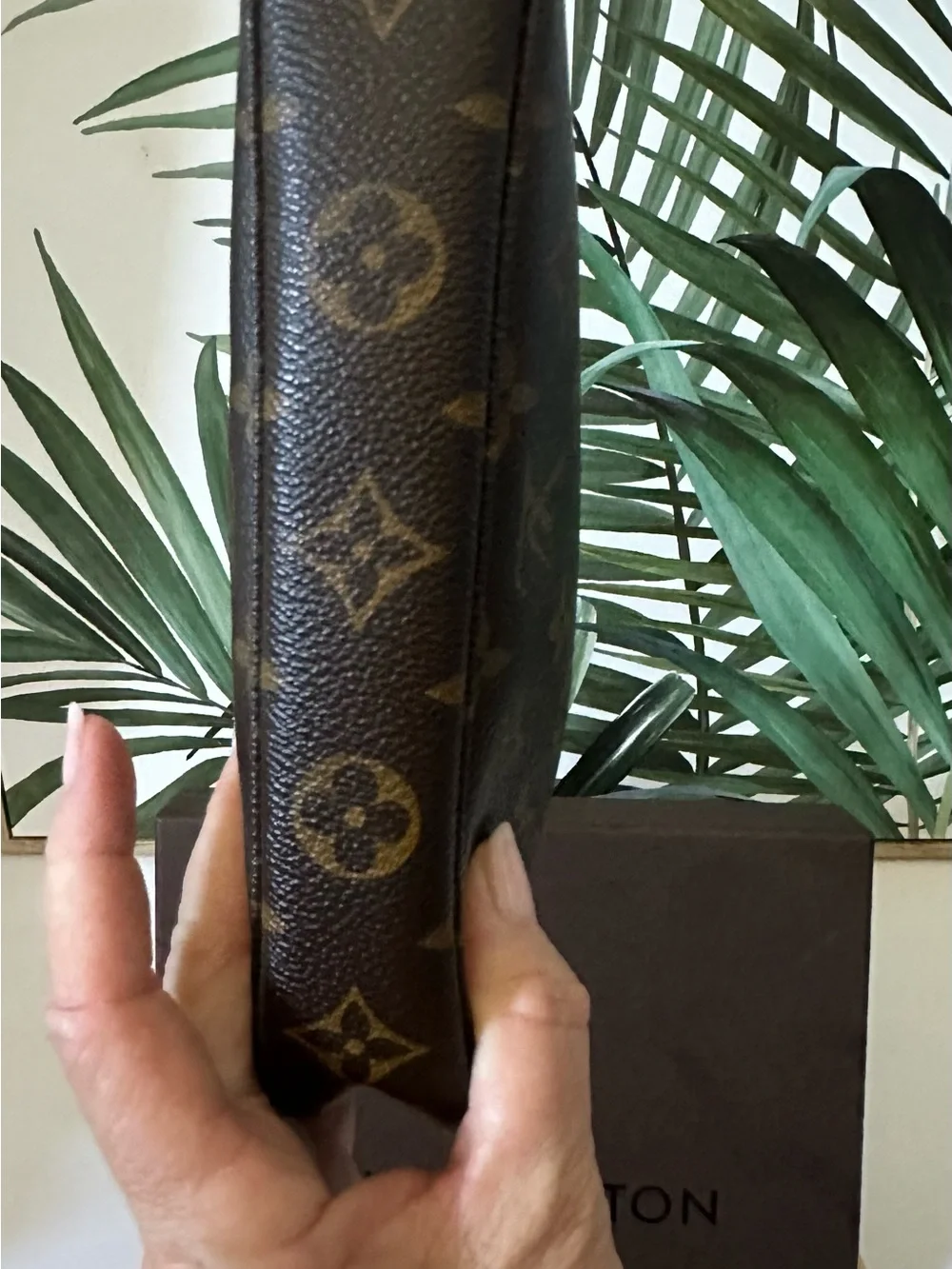 Louis Vuitton Monogram Pochette Accessoires  Bag